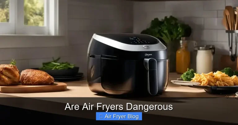Are Air Fryers Dangerous