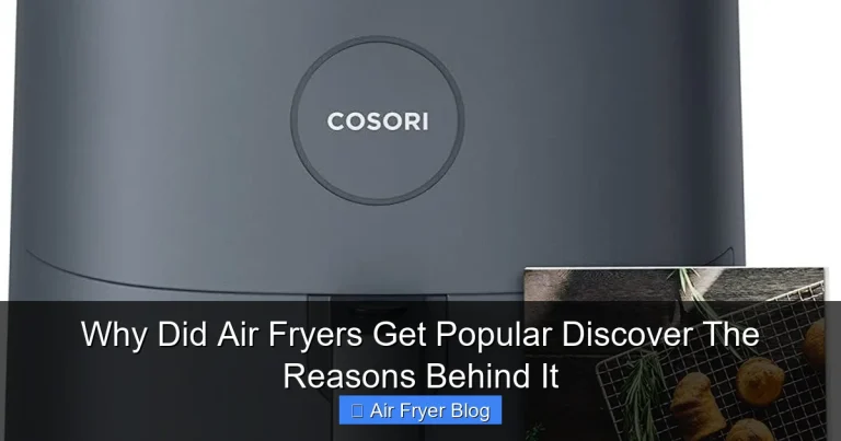 Why Did Air Fryers Get Popular Discover The Reasons Behind It