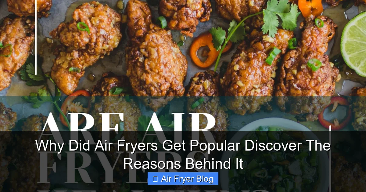 Why Did Air Fryers Get Popular Discover The Reasons Behind It