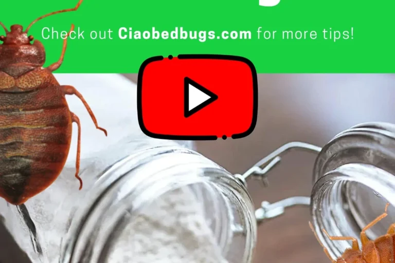 Baking Soda and Bed Bugs Does It Really Work