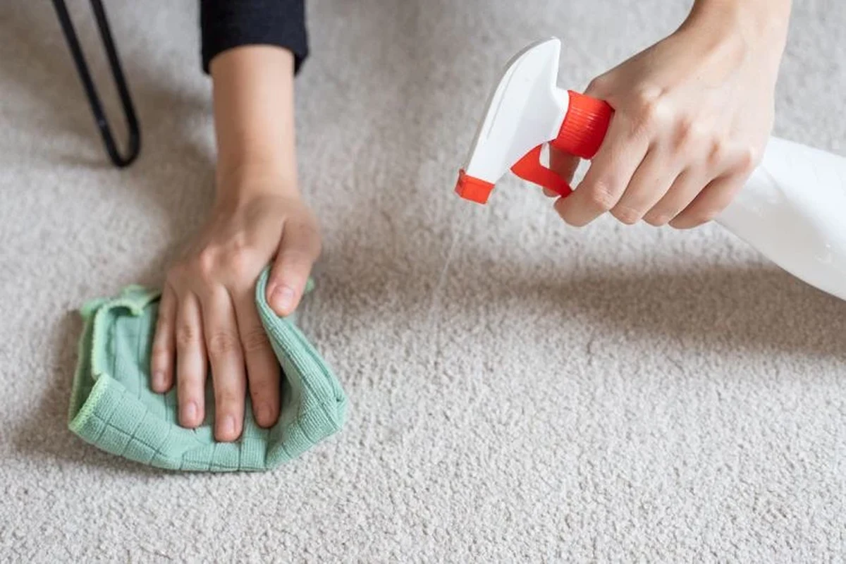 A person sprinkling baking soda on a carpet to freshen odor in a bright living room
