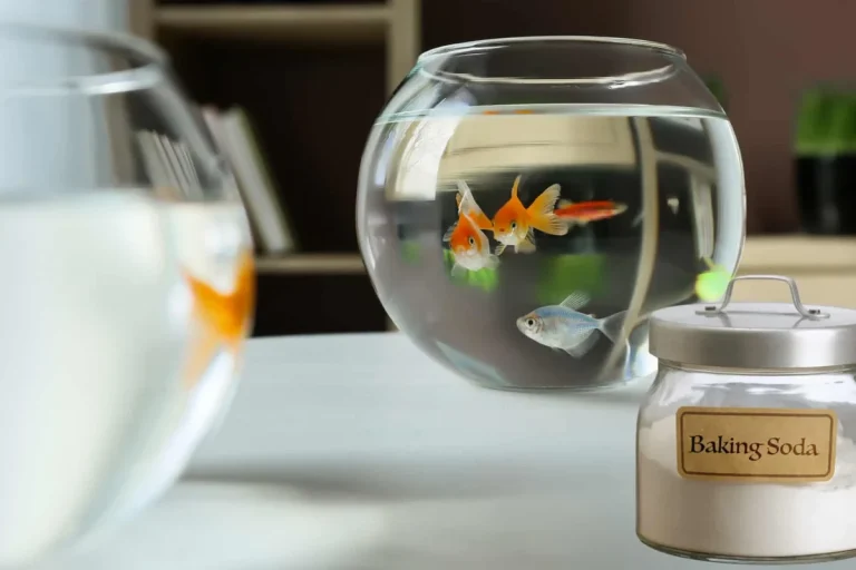 Baking Soda for Fish Tank Safe Use Tips and Benefits