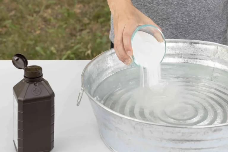 Baking Soda and Hydrogen Peroxide for Skunk Smell Relief