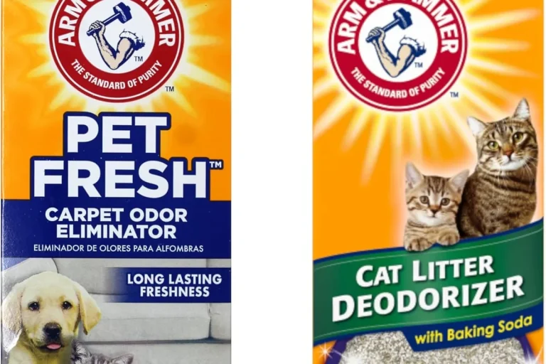 Baking Soda Pet Odor Solutions That Really Work