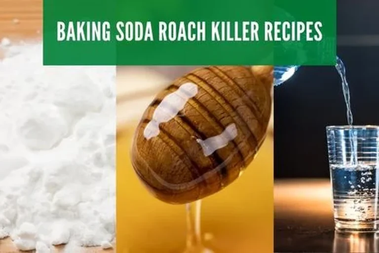 Baking Soda for Roaches Safe Ways to Kill Them Fast