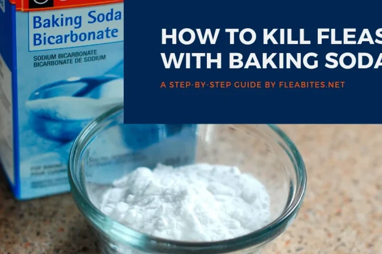 Baking Soda and Salt for Fleas Safe Home Treatment Guide