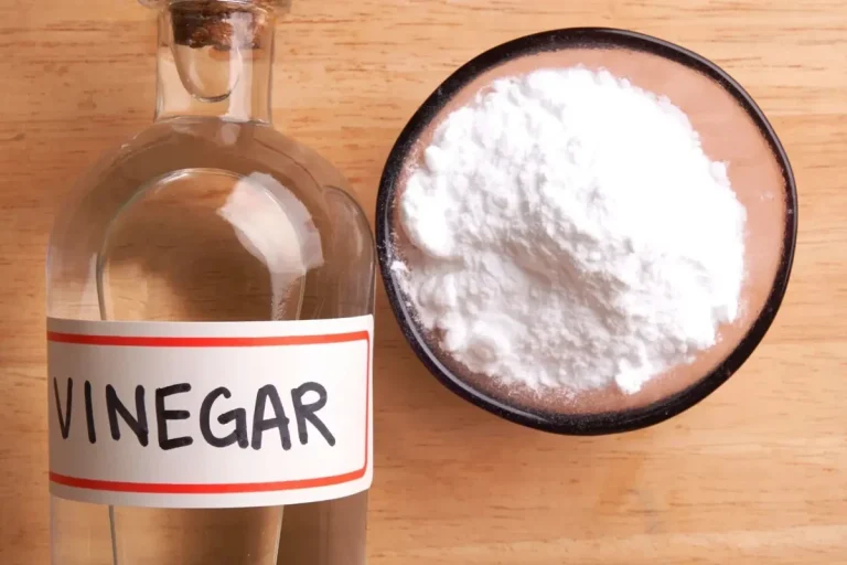 Baking Soda and Vinegar for Clogged Toilet Works Fast