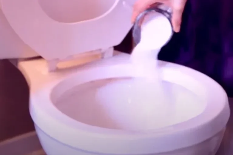 Cleaning Toilet Bowl with Vinegar and Baking Soda Tips