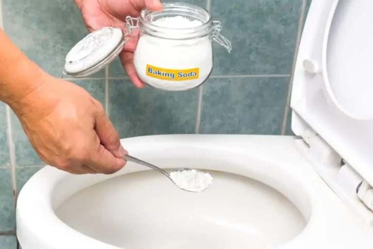 Cleaning a Toilet with Vinegar and Baking Soda Made Easy