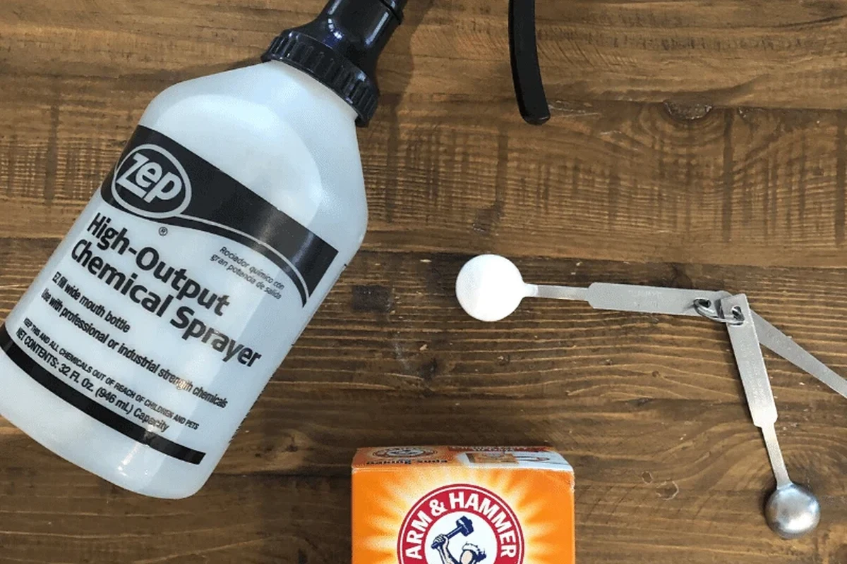 Gardener spraying baking soda solution on leaves affected by powdery mildew
