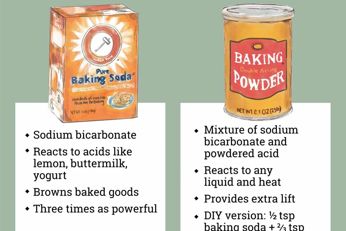 Baking soda and baking powder measured in small bowls on a kitchen counter