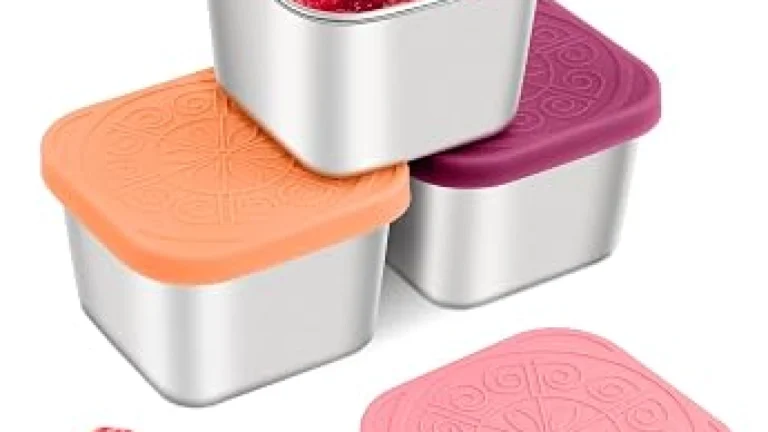 HTEVW 6 Pack Stainless Review: Kid Snack Containers